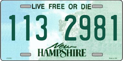 NH license plate 1132981