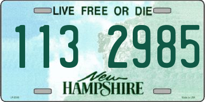 NH license plate 1132985