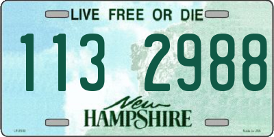 NH license plate 1132988