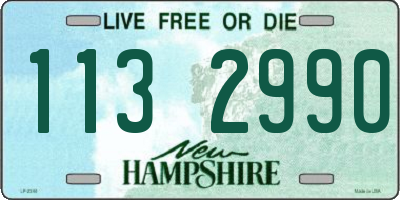 NH license plate 1132990