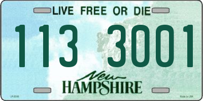 NH license plate 1133001