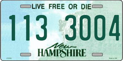 NH license plate 1133004