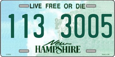 NH license plate 1133005