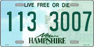 NH license plate 1133007
