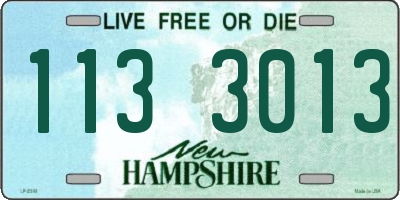 NH license plate 1133013