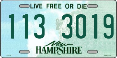 NH license plate 1133019