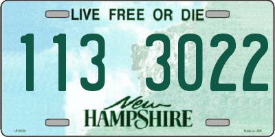 NH license plate 1133022