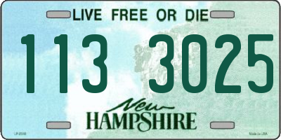 NH license plate 1133025