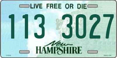 NH license plate 1133027