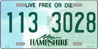 NH license plate 1133028
