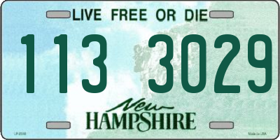 NH license plate 1133029