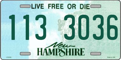 NH license plate 1133036