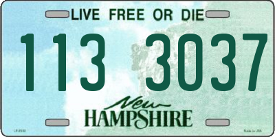 NH license plate 1133037