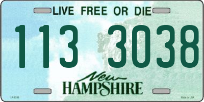 NH license plate 1133038