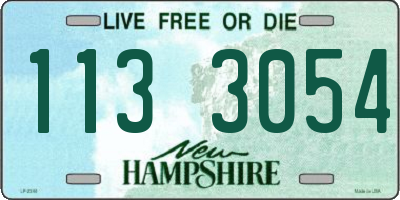 NH license plate 1133054