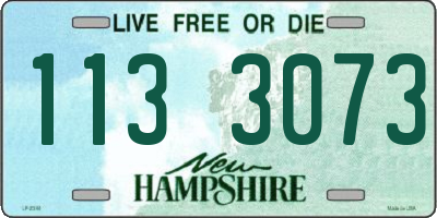 NH license plate 1133073