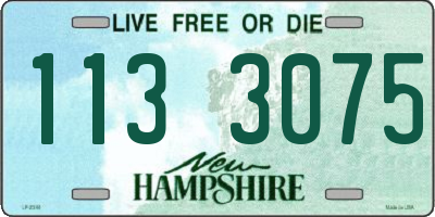 NH license plate 1133075