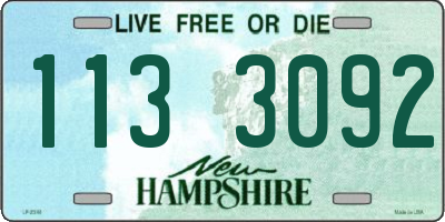 NH license plate 1133092
