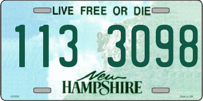 NH license plate 1133098