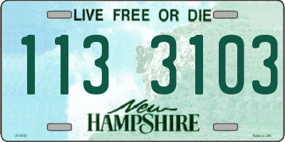 NH license plate 1133103
