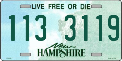 NH license plate 1133119