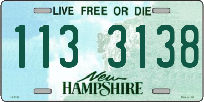 NH license plate 1133138
