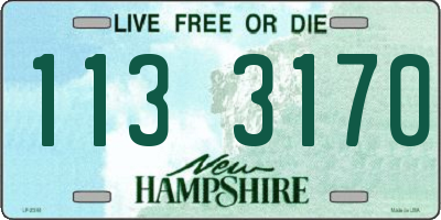NH license plate 1133170