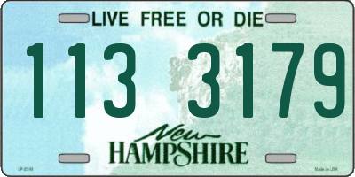 NH license plate 1133179