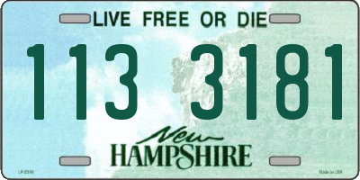 NH license plate 1133181