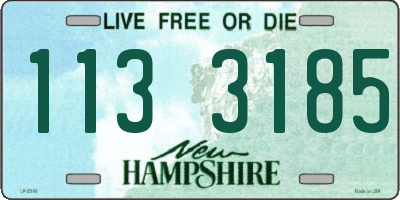 NH license plate 1133185