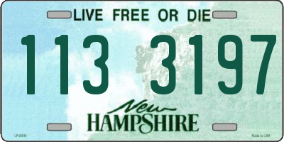 NH license plate 1133197