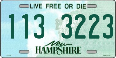 NH license plate 1133223
