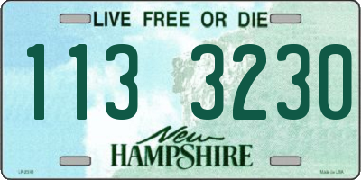NH license plate 1133230