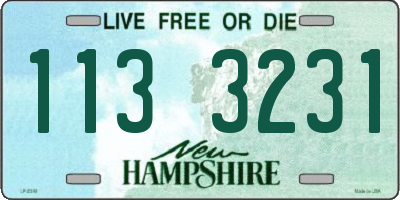 NH license plate 1133231