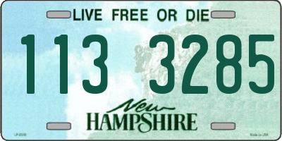 NH license plate 1133285