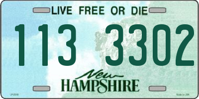 NH license plate 1133302
