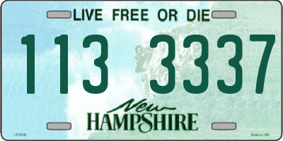 NH license plate 1133337
