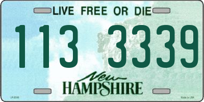 NH license plate 1133339