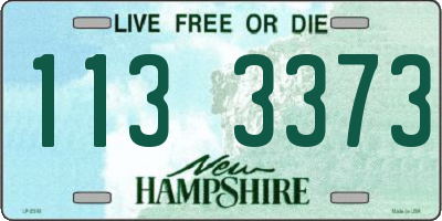 NH license plate 1133373