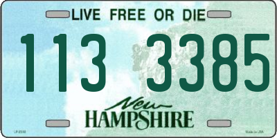 NH license plate 1133385
