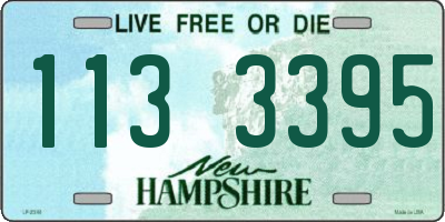 NH license plate 1133395