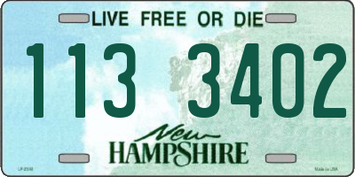 NH license plate 1133402