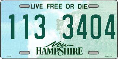NH license plate 1133404