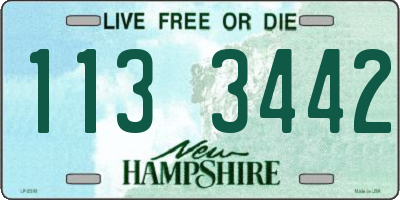 NH license plate 1133442
