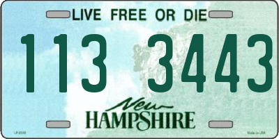 NH license plate 1133443