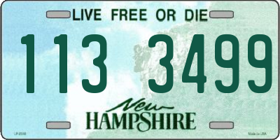 NH license plate 1133499