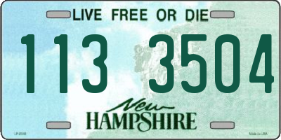 NH license plate 1133504