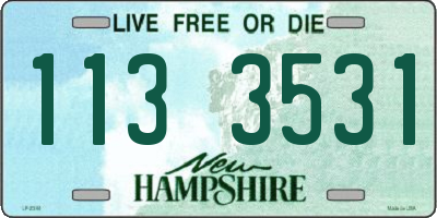 NH license plate 1133531