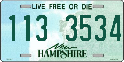 NH license plate 1133534