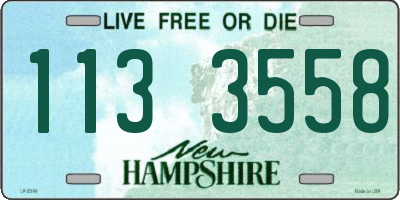 NH license plate 1133558